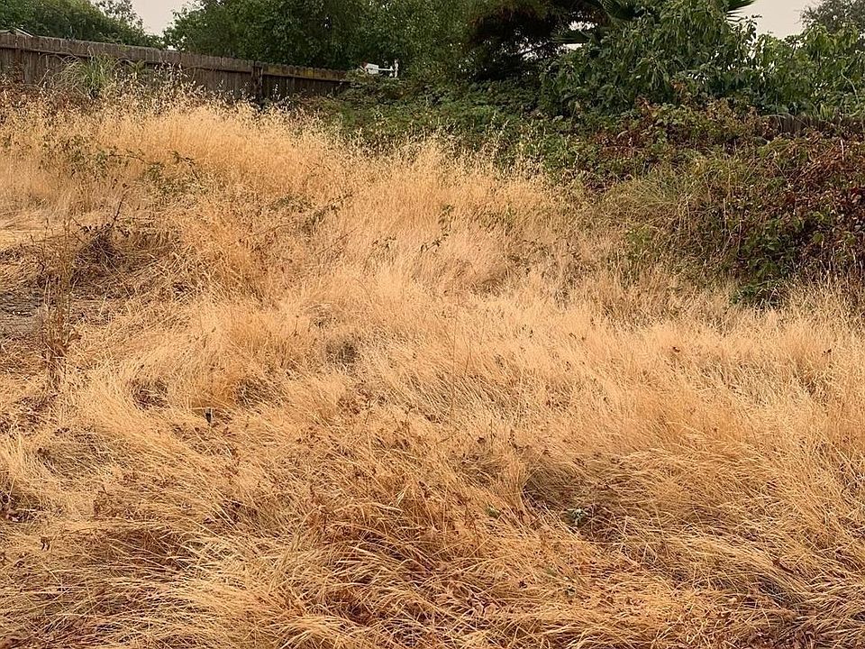 2nd image of 0 7th St