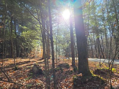 0 Avery Hand Ln PARCEL 5-2, East Nassau, NY, 12062