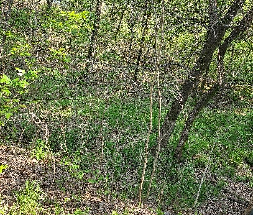 1st image of LOT 34 Meandering Way