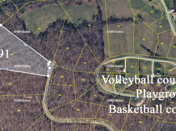191 Moonstone Ln Lot 191, New Tazewell, TN 37825