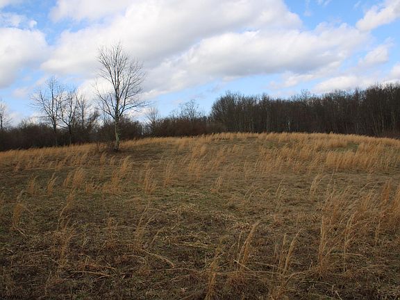 3rd image of LOT 10 Cascade Rd