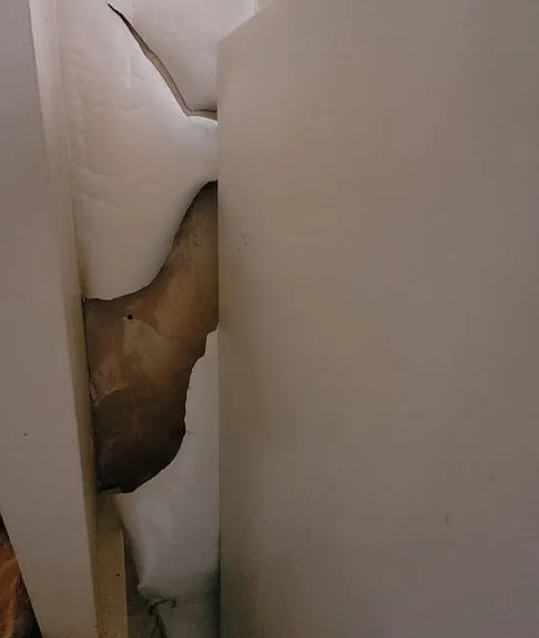 222 Grant Ave — Photo 16