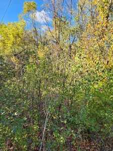 27W0 S Roosevelt Rd, Winfield, IL, 60190