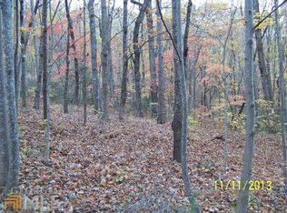 44 Wooten Rd, Cleveland, GA 30528