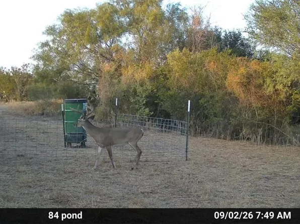 TRACT 2 Fm 2687, Zapata, TX 78076