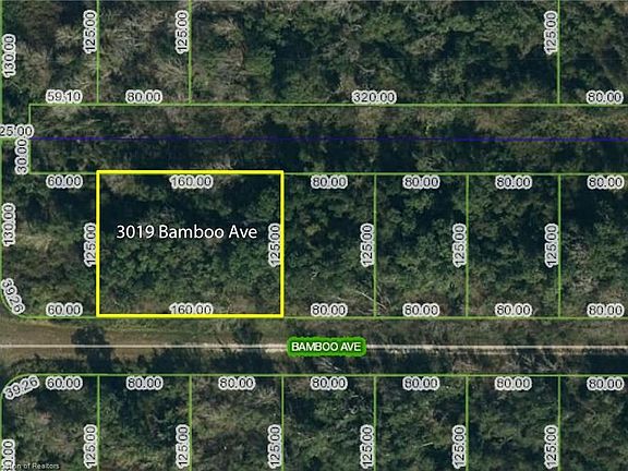 3rd image of 3019 Bamboo Ave