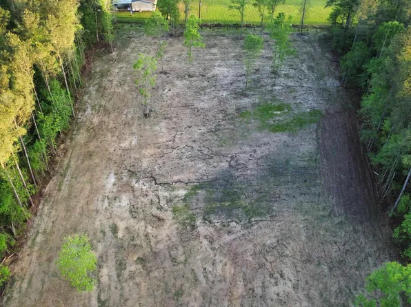 21154 Butterbean Rdg, Livingston, LA 70754