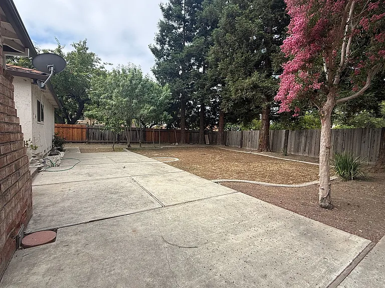 905 Cape Buffalo Dr — Photo 13
