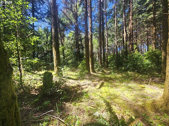 3rd image of Cemetery Loop Rd #2200