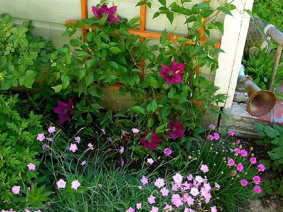 gardens