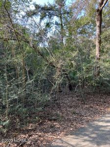 7 Needlerush Court, Southport, NC, 28461