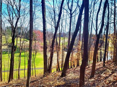 67 Peaks View Dr, Moneta, VA, 24121