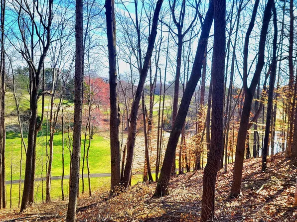 67 Peaks View Dr, Moneta, VA 24121