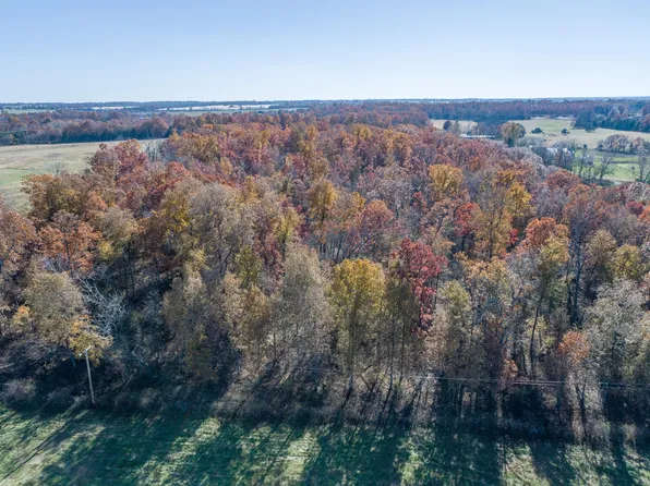 Tract D Vermule Road, Billings, MO 65610