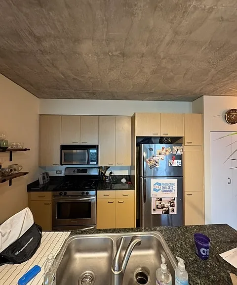 1845 S Michigan Ave #1609 — Photo 5