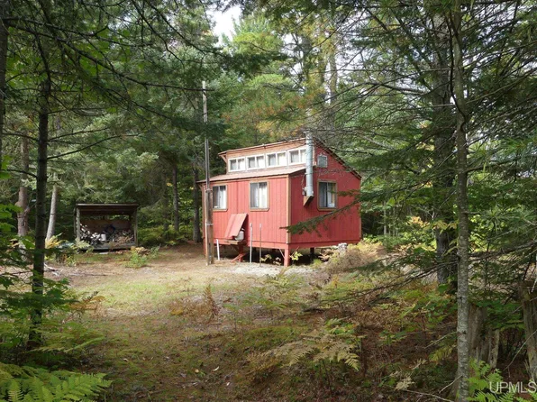 12412 N Ecklund Rd, Seney, MI 49883