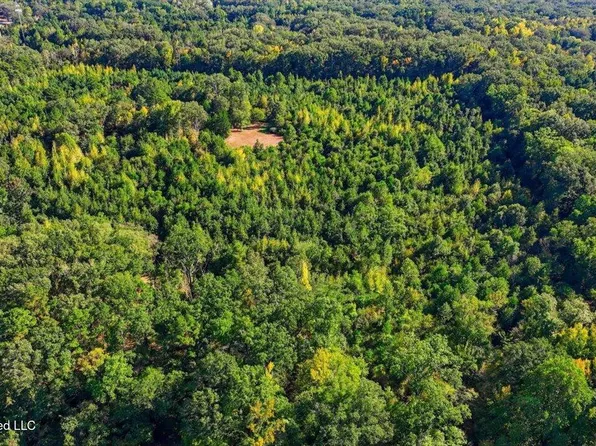 Springridge Rd, Raymond, MS 39154