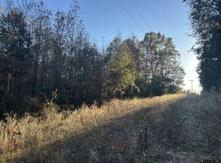 1 County Road 3218, Pittsburg, TX 75686