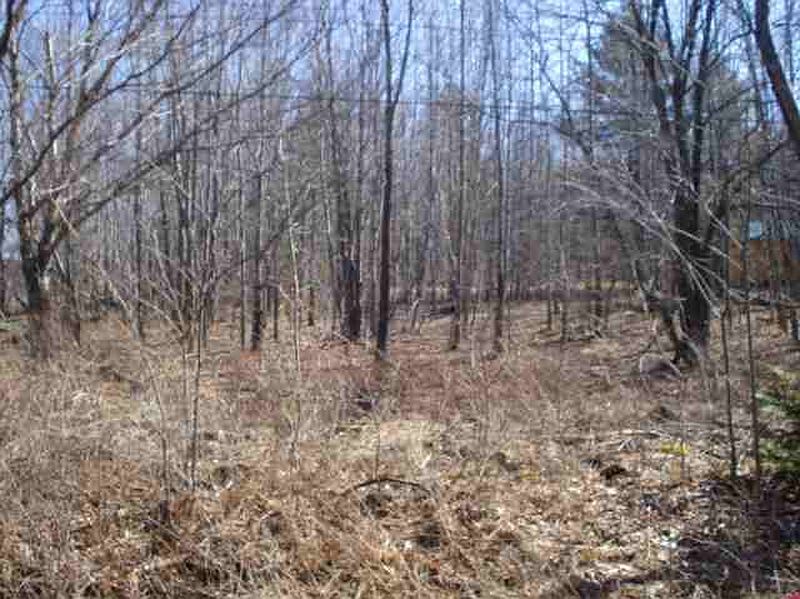 5th image of 0 BLUEBIRD Road