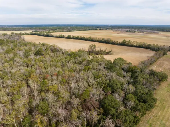 0 Madison Hwy, Quitman, GA 31643