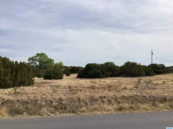 63 Rosedale Rd, Silver City, NM 88061