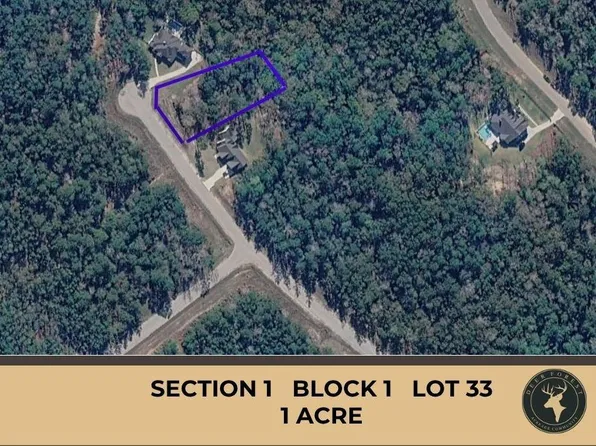 147 Eagle Run Rd Lot 33, Willis, TX 77378
