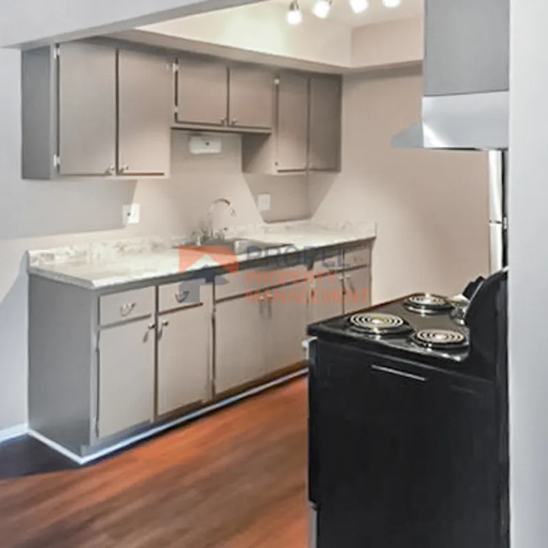 2 bed, 1.0 bath, 900 sqft, $1,000 — Photo 3