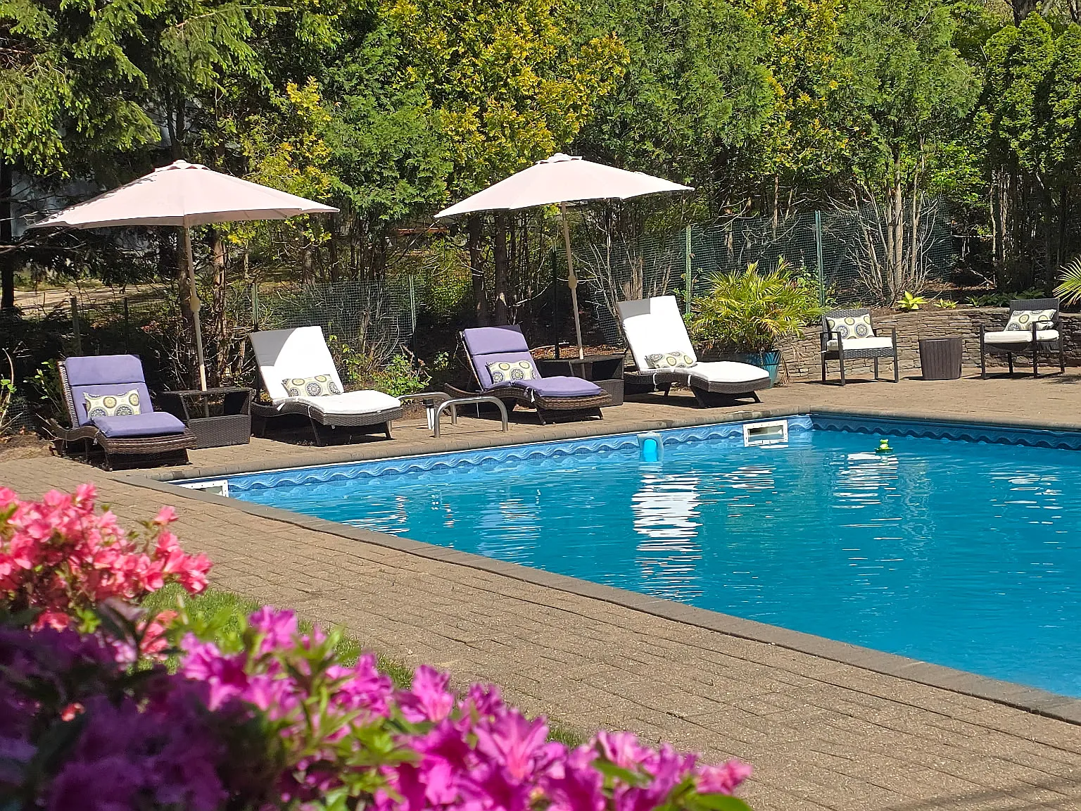 Southampton Four Bedroom Ranch with Pool — Photo 2