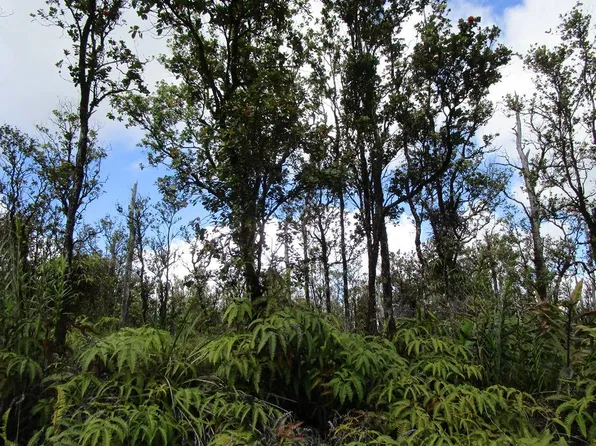 Lot 75, Volcano, HI 96785