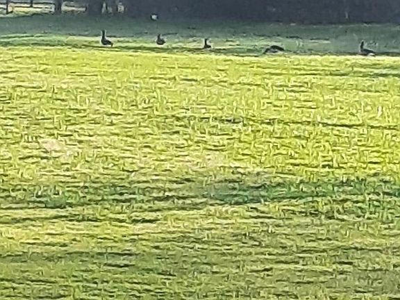 5th image of 0 E Britton Rd Lot 22-23-27