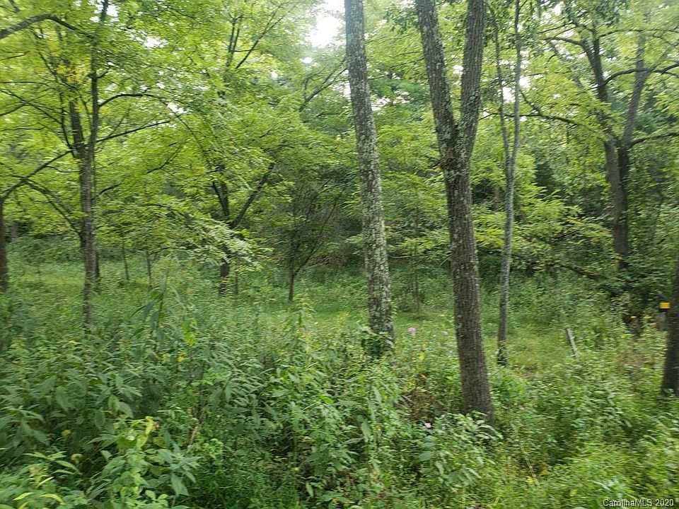 0 Fines Creek Rd, Clyde, NC 28721 Zillow