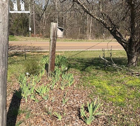 4th image of 13024 Highway 330