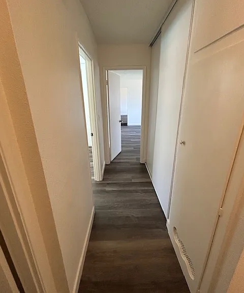 4584 Olive St — Photo 7