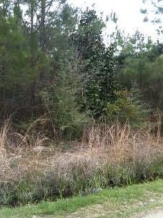 1st image of Spruce Dr