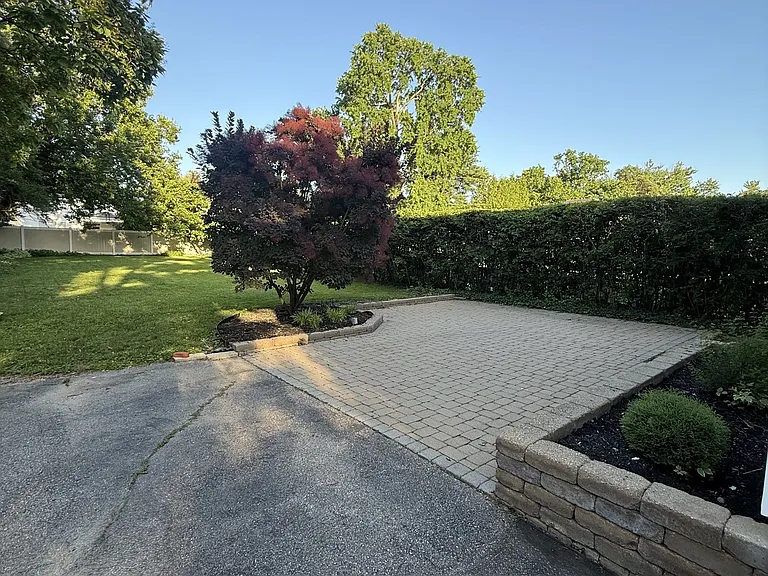 Patio/Backyard