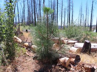 4817 Sciaroni Rd, Grizzly Flats, CA 95636