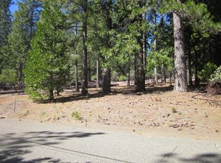 5608 Blue Mountain Dr, Grizzly Flats, CA