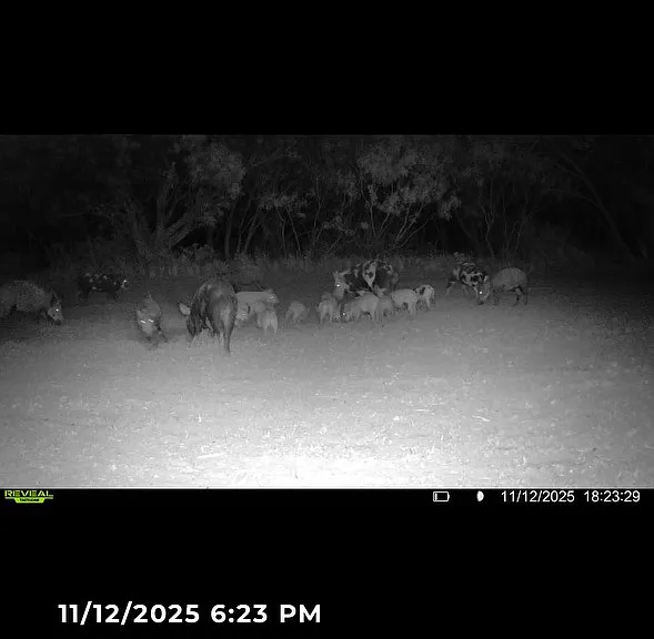 8234 County Road 266 — Photo 36