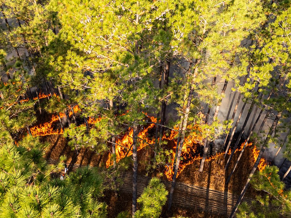 19th image of this home