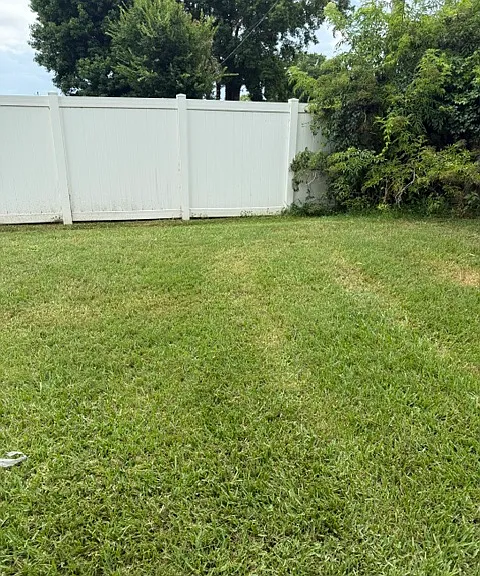 3215 Travelers Palm Dr — Photo 3