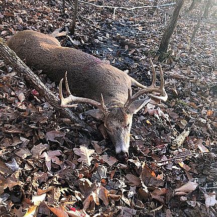 last years kill