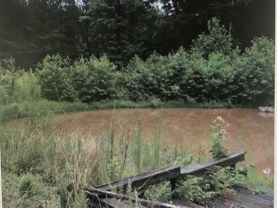 2nd image of 0 Highway 78 #8.74AC
