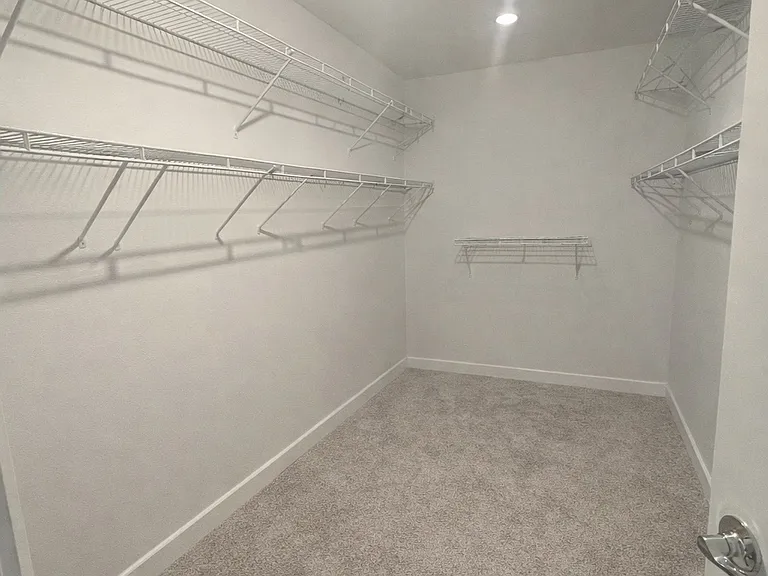Master Walk in Closet