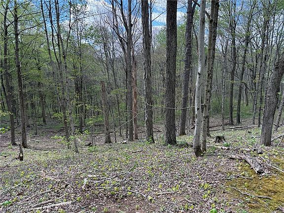 3rd image of Plainview Rd