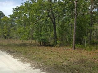 Ricebird Ave, Weeki wachee, FL 34614