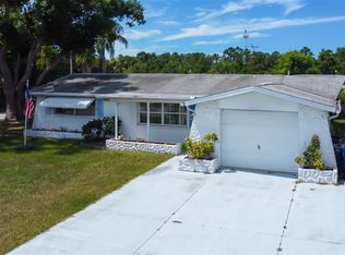 3735 Mynabird Dr, New Port Richey, FL 34652