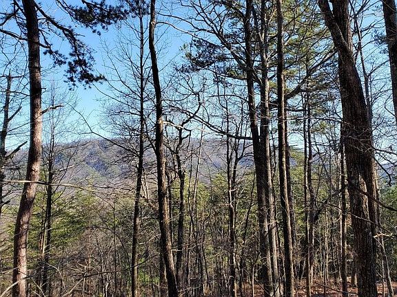 5th image of 5019 Allegheny Cove Way