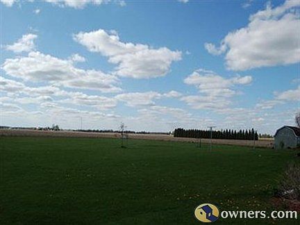 another view of backyard