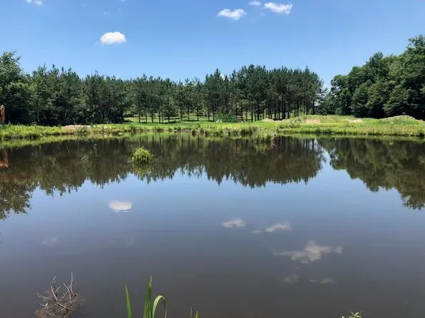 1840 County Road 2288, Glenwood, AL 36034