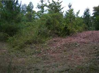 2 Dawn Dr, Spring City, TN 37381